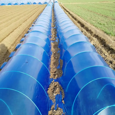 Application Of Fiberglass Garden Stake Application Of Fiberglass Garden Stake